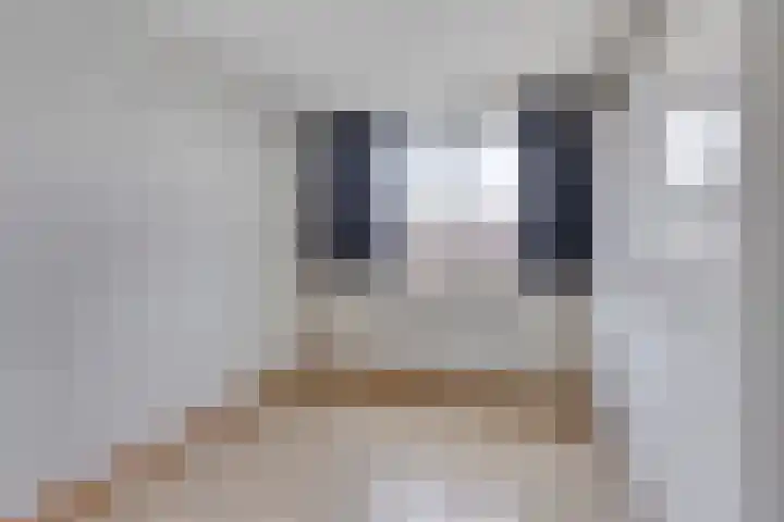 Anjerstraat 7 Siebengewald thumbnail 24