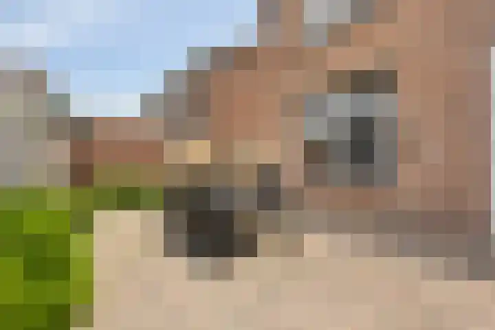 Anjerstraat 7 Siebengewald thumbnail 32