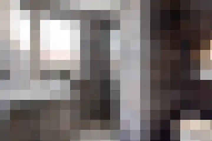 Anjerstraat 7 Siebengewald thumbnail 4