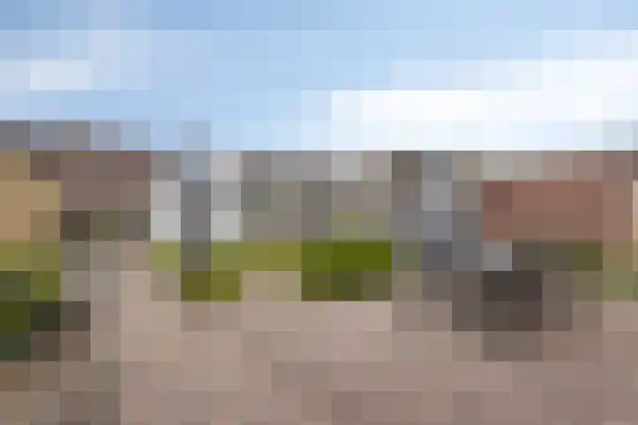 Anjerstraat 7 Siebengewald thumbnail 5