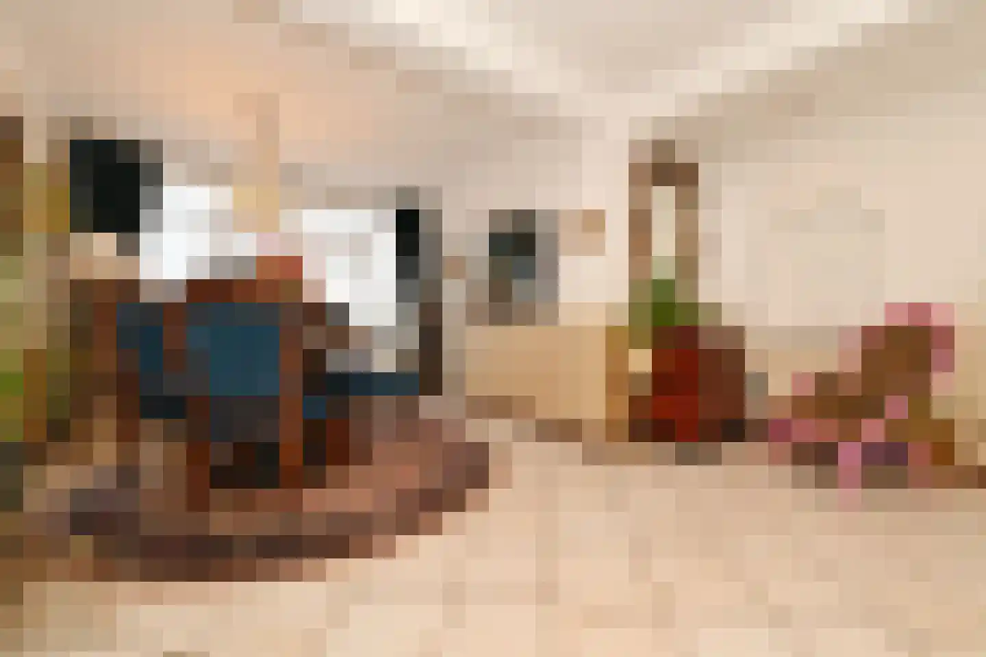 Anjerstraat 7 Steenbergen thumbnail 10