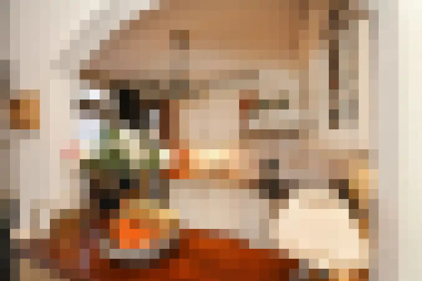 Anjerstraat 7 Steenbergen thumbnail 13
