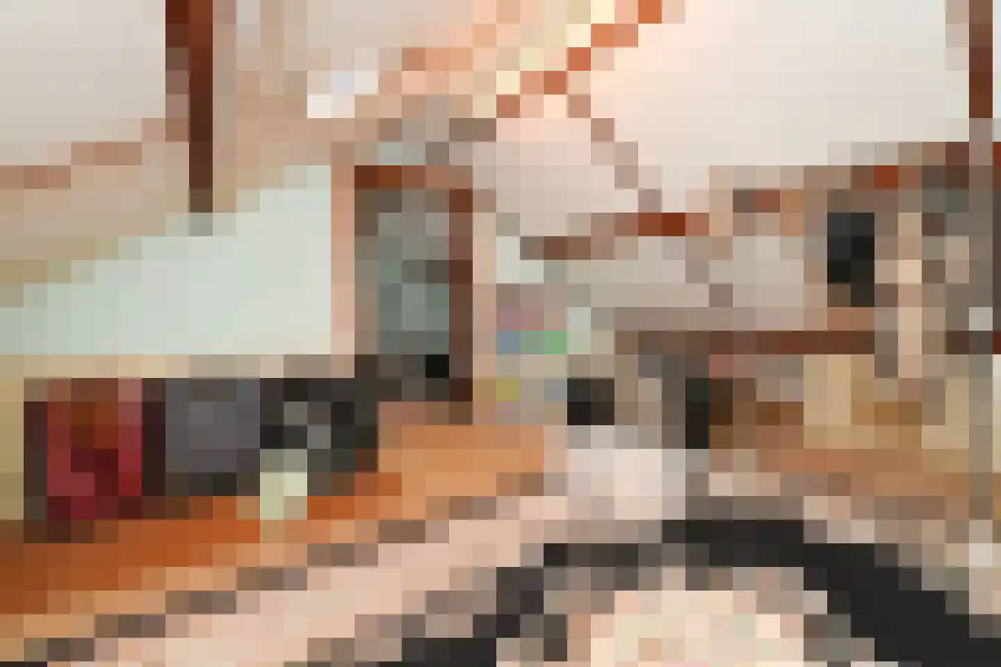 Anjerstraat 7 Steenbergen thumbnail 21
