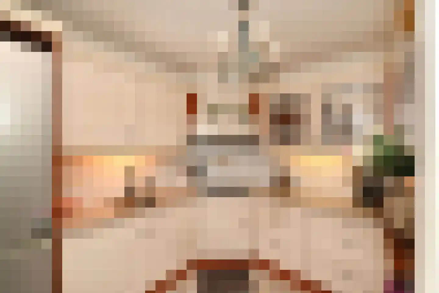 Anjerstraat 7 Steenbergen thumbnail 4