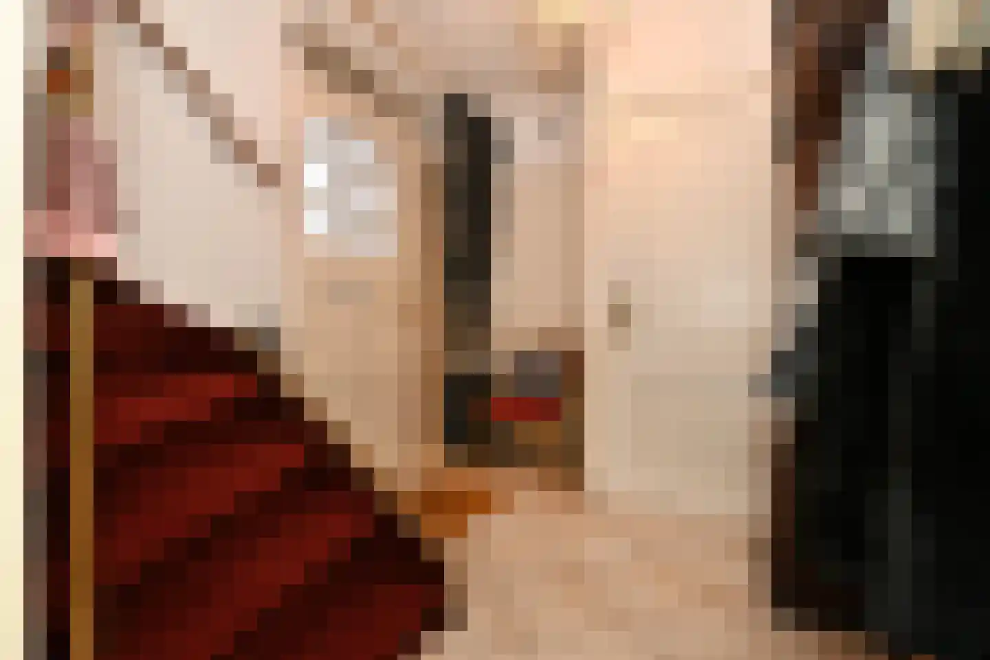 Anjerstraat 7 Steenbergen thumbnail 5