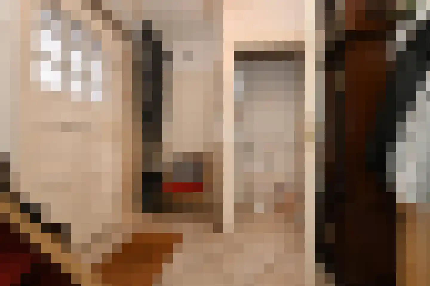 Anjerstraat 7 Steenbergen thumbnail 6