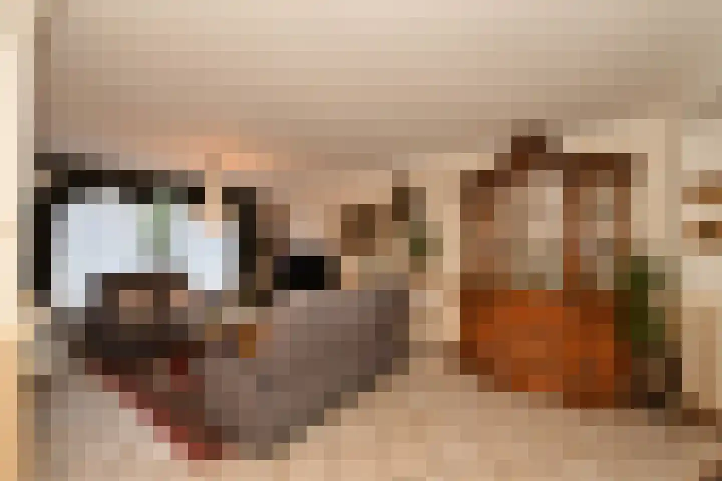Anjerstraat 7 Steenbergen thumbnail 7