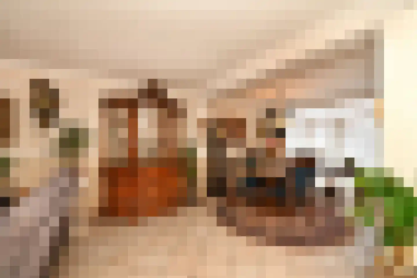 Anjerstraat 7 Steenbergen thumbnail 8