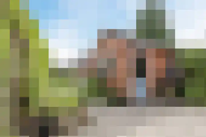 Anjerstraat 70 Steenbergen thumbnail 22
