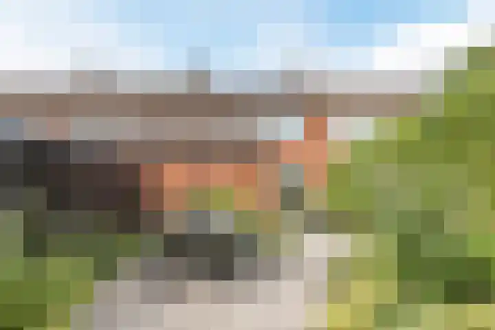 Anjerstraat 70 Steenbergen thumbnail 25