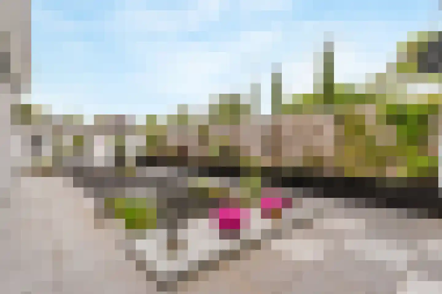 Anjerstraat 73 Zwijndrecht thumbnail 31