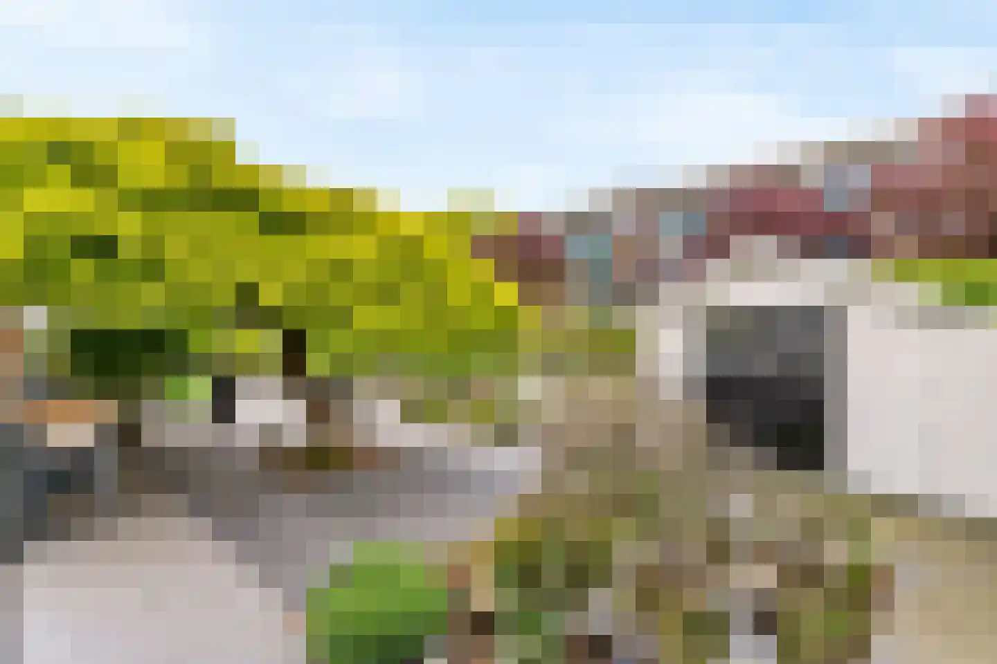 Anjerstraat 73 Zwijndrecht thumbnail 34