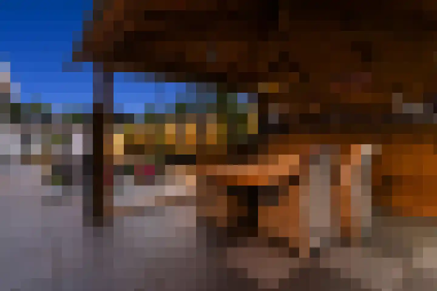 Anjerstraat 73 Zwijndrecht thumbnail 37