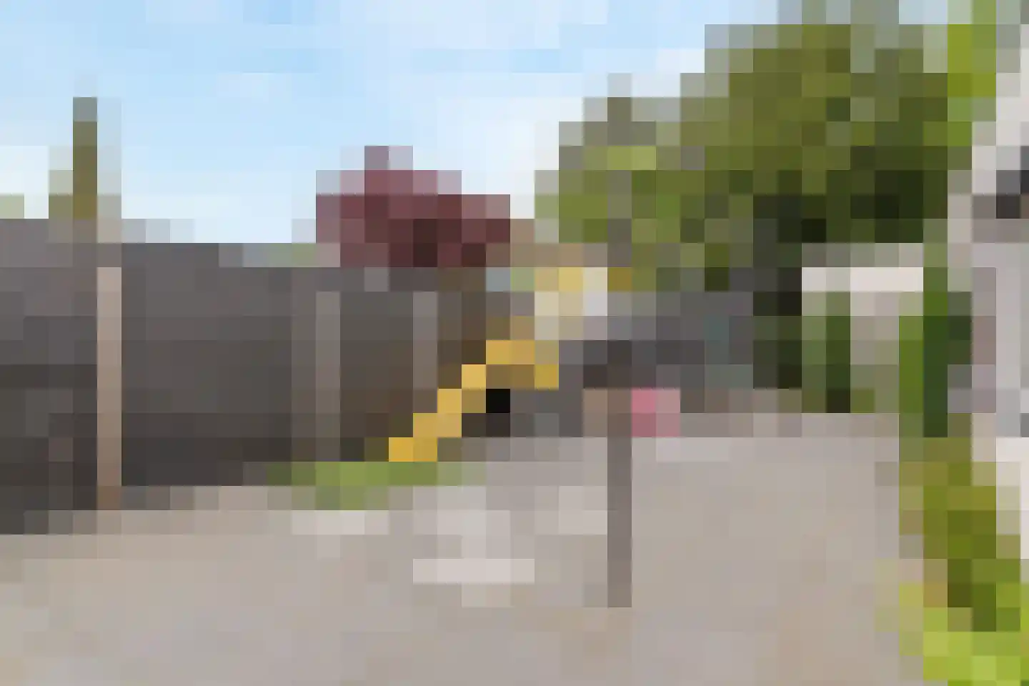 Anjerstraat 73 Zwijndrecht thumbnail 63