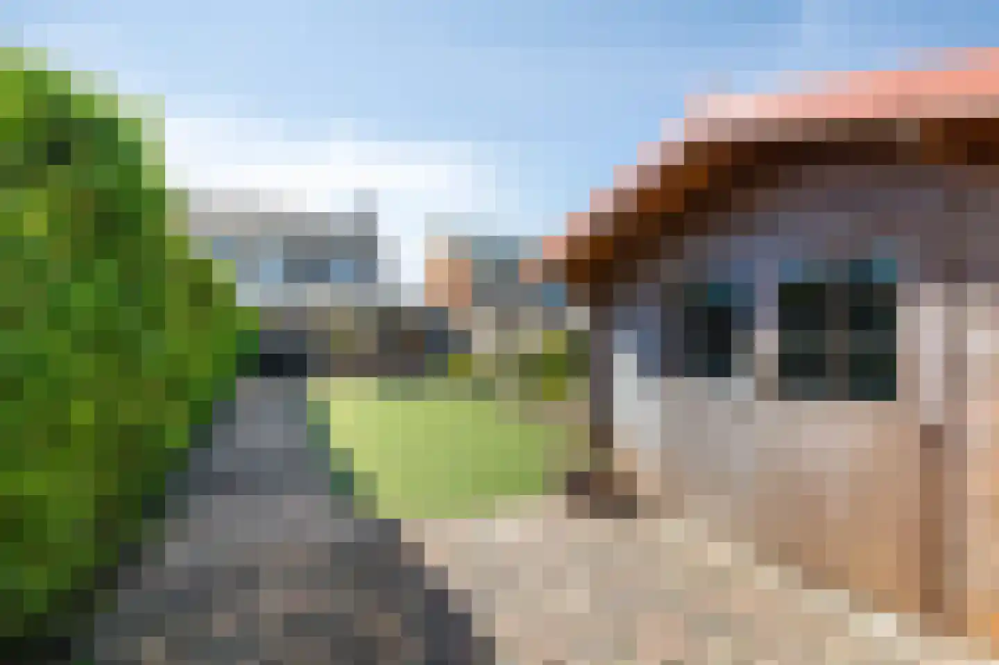 Anjerstraat 9 Malden thumbnail 36