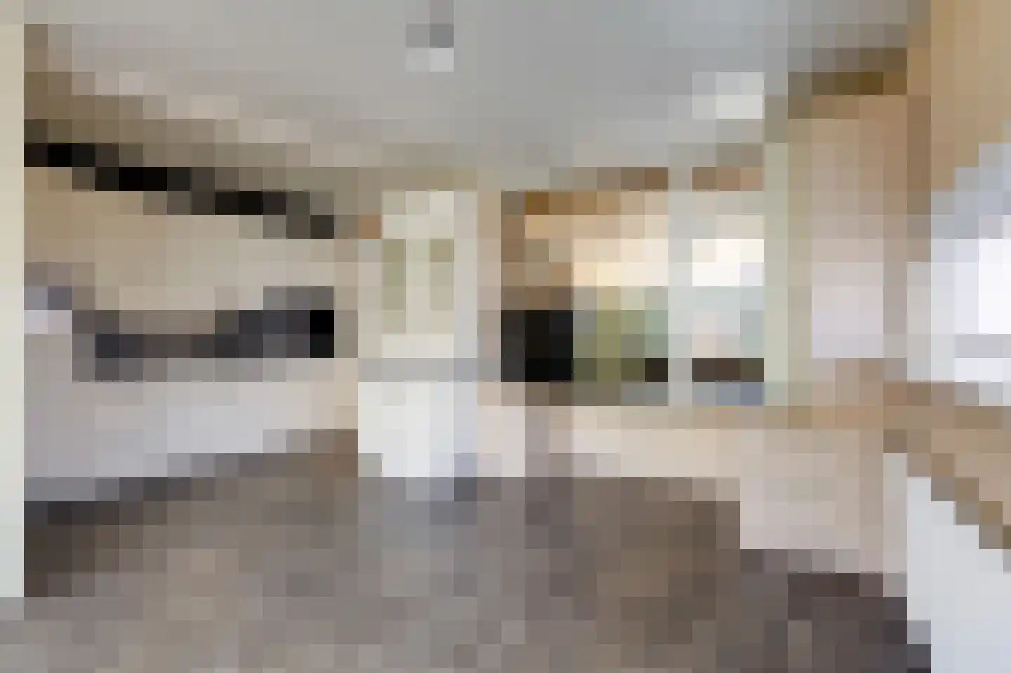 Anjerstraat 9 Malden thumbnail 9