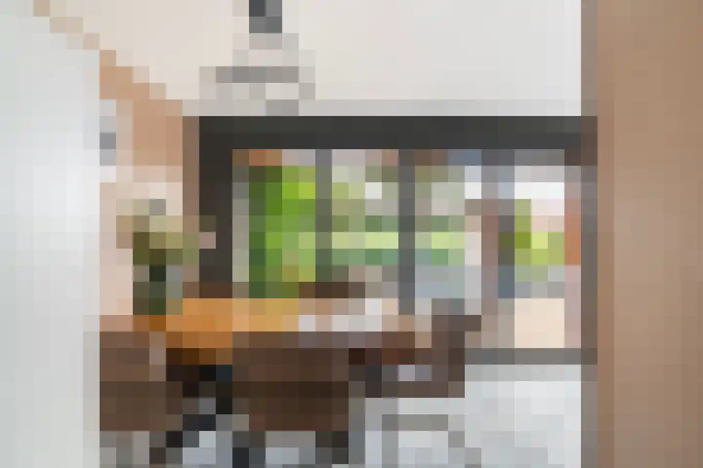 Anjertuin 1 Bergschenhoek thumbnail 11