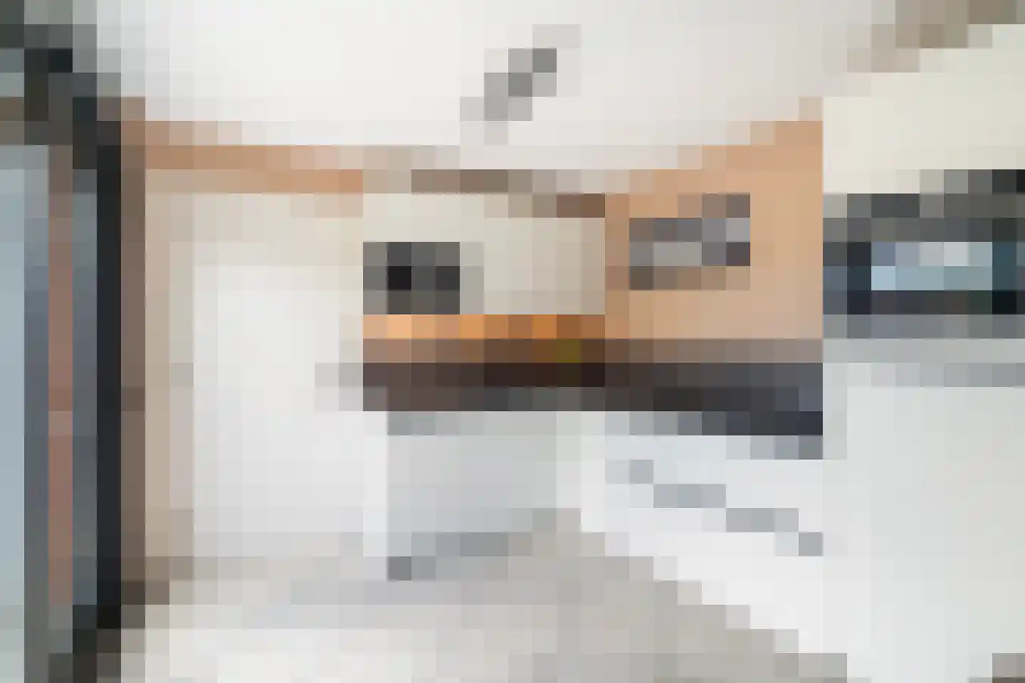 Anjertuin 1 Bergschenhoek thumbnail 12