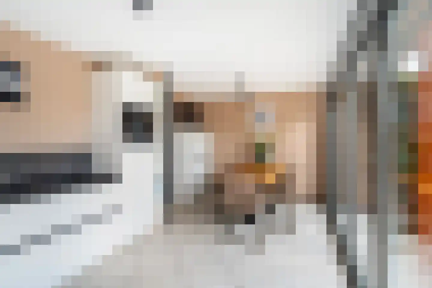 Anjertuin 1 Bergschenhoek thumbnail 14