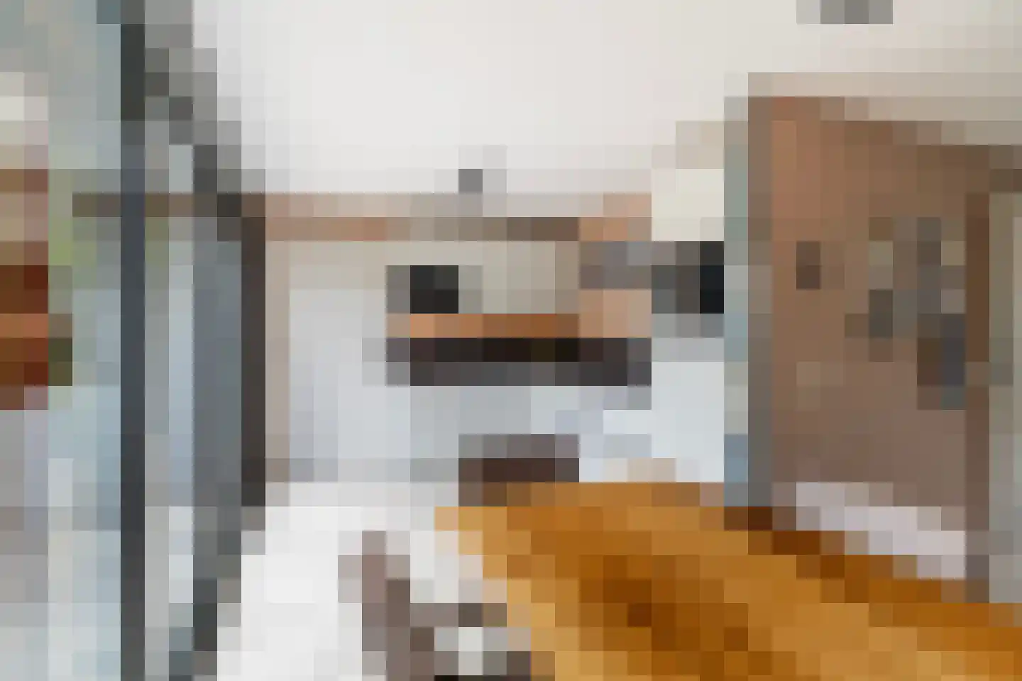 Anjertuin 1 Bergschenhoek thumbnail 15