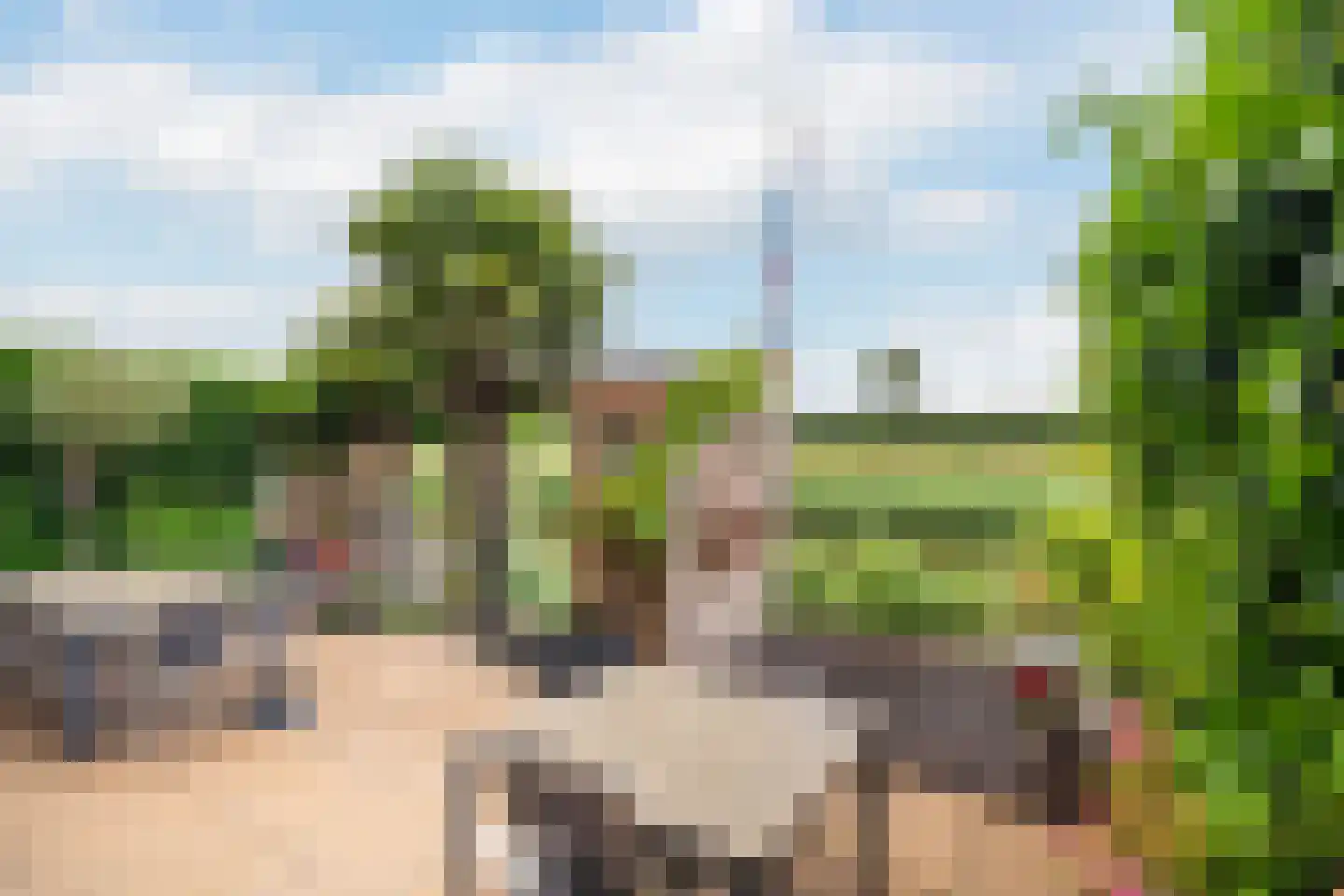Anjertuin 1 Bergschenhoek thumbnail 21