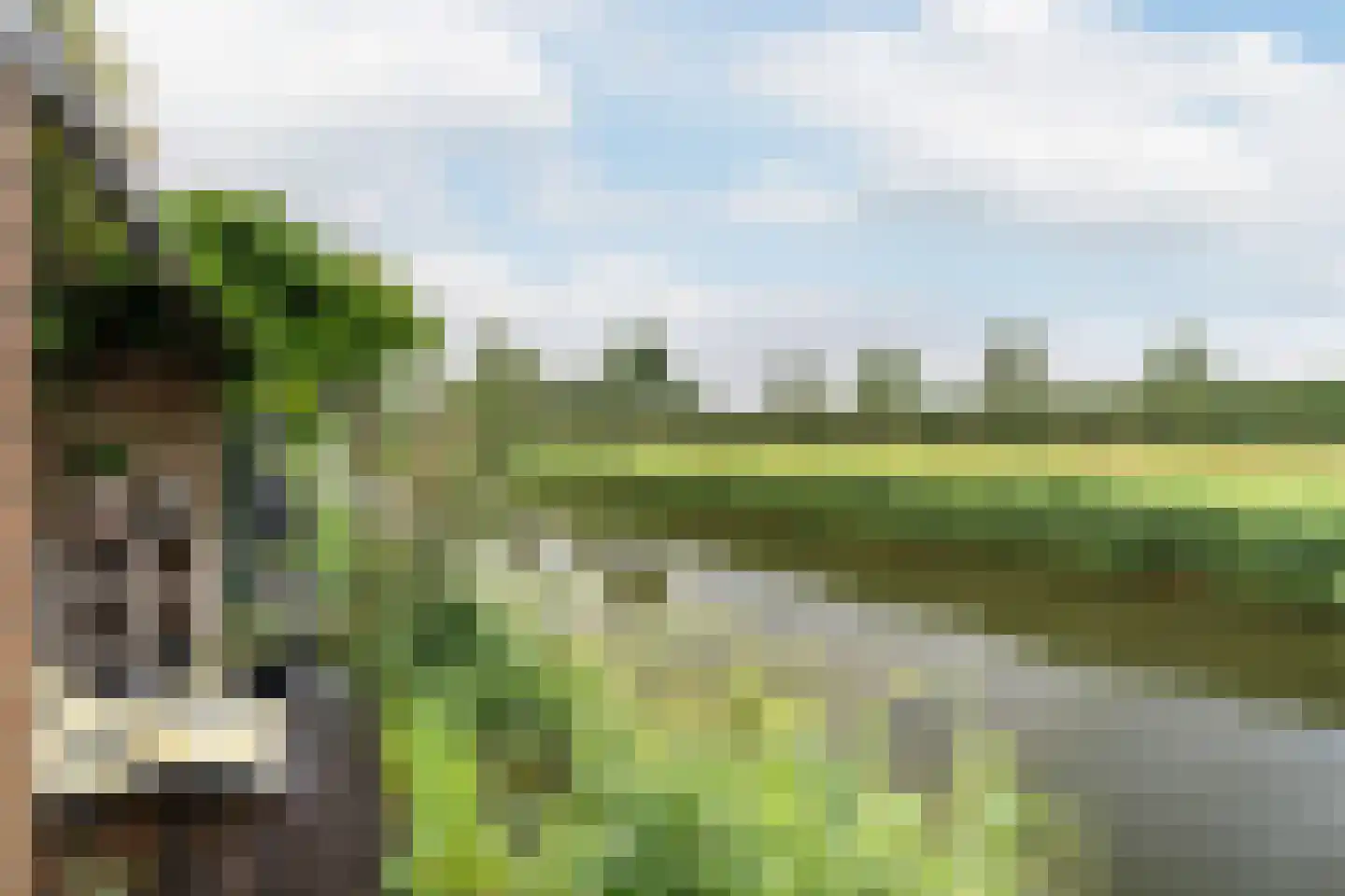 Anjertuin 1 Bergschenhoek thumbnail 22