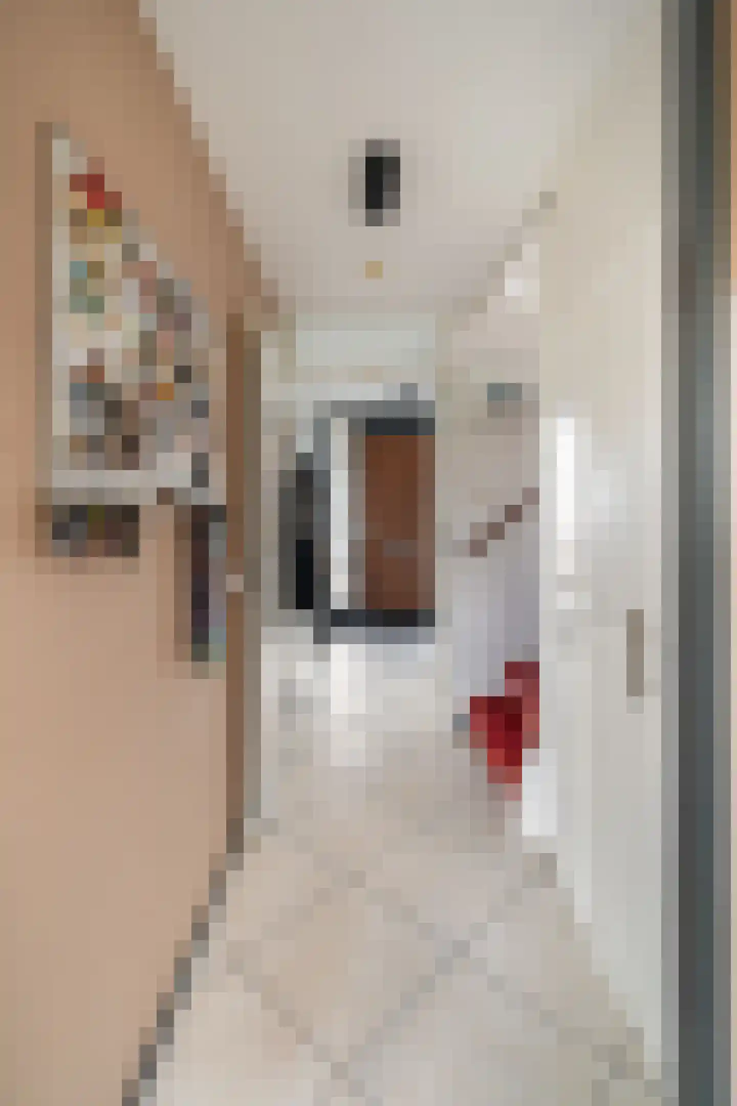 Anjertuin 1 Bergschenhoek thumbnail 23