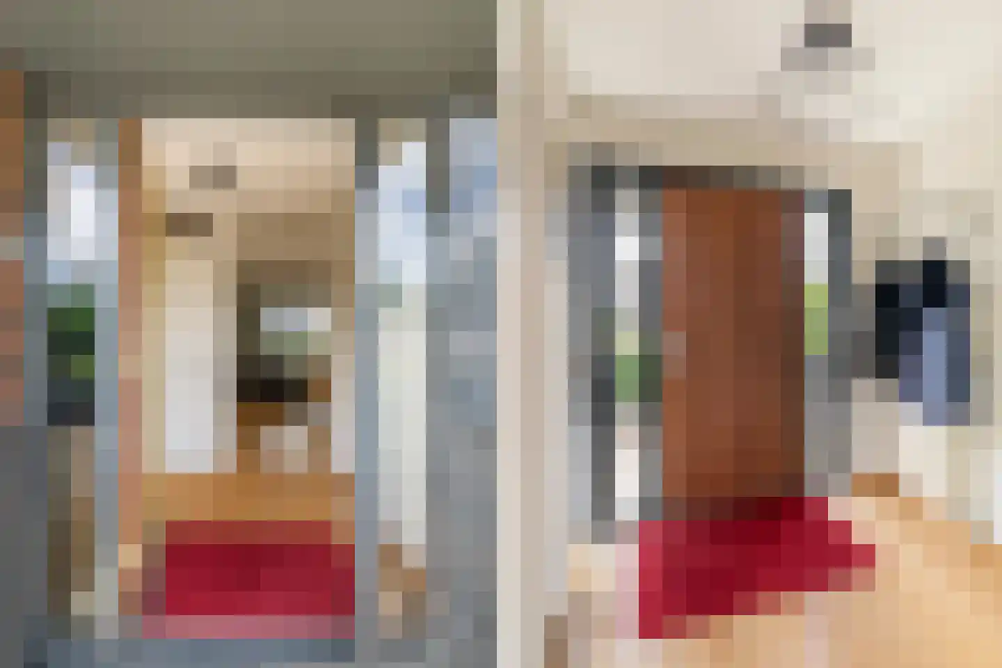 Anjertuin 1 Bergschenhoek thumbnail 24