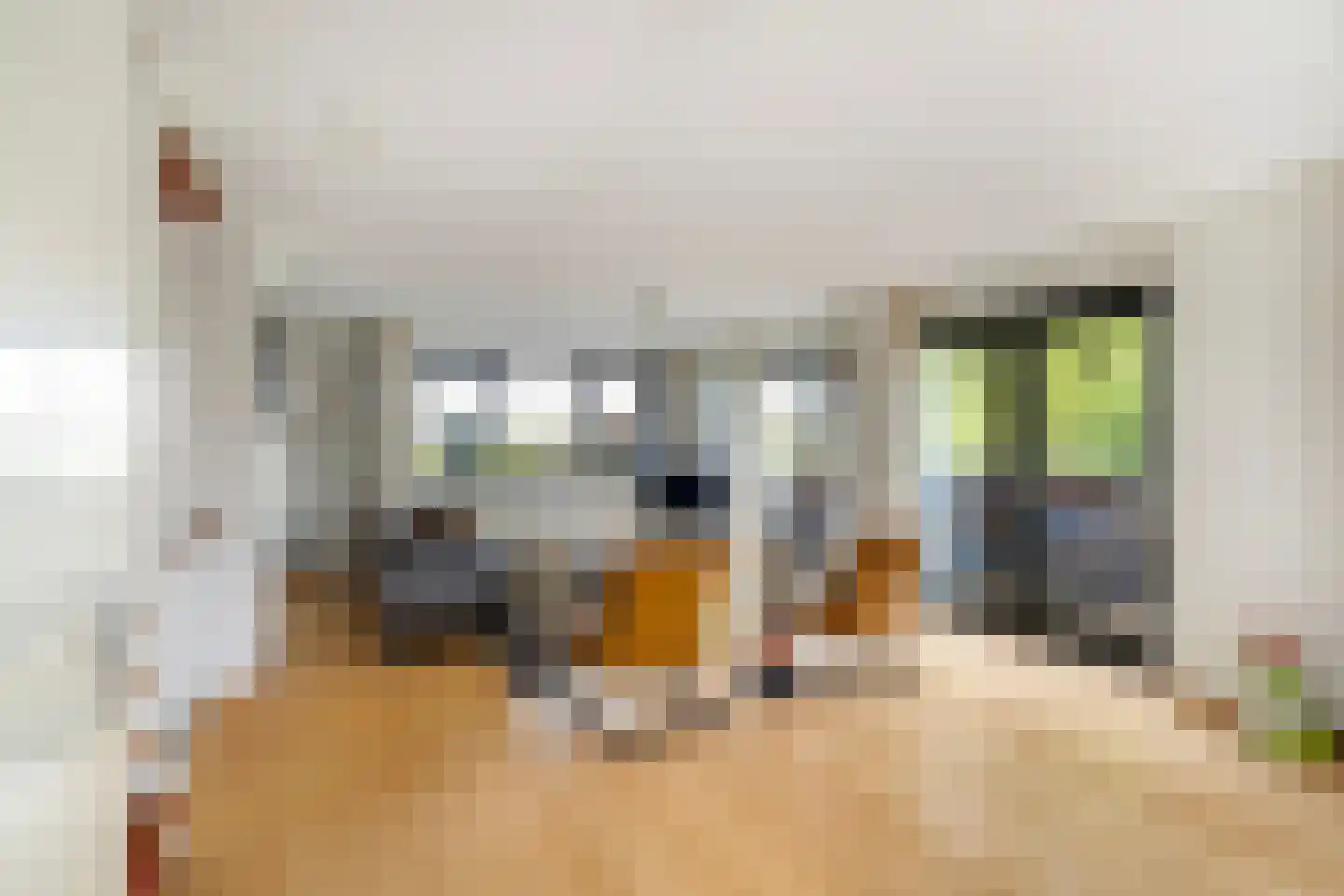 Anjertuin 1 Bergschenhoek thumbnail 25