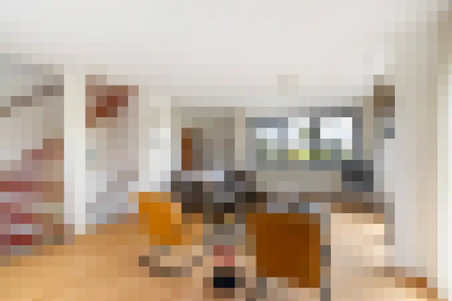 Anjertuin 1 Bergschenhoek thumbnail 27