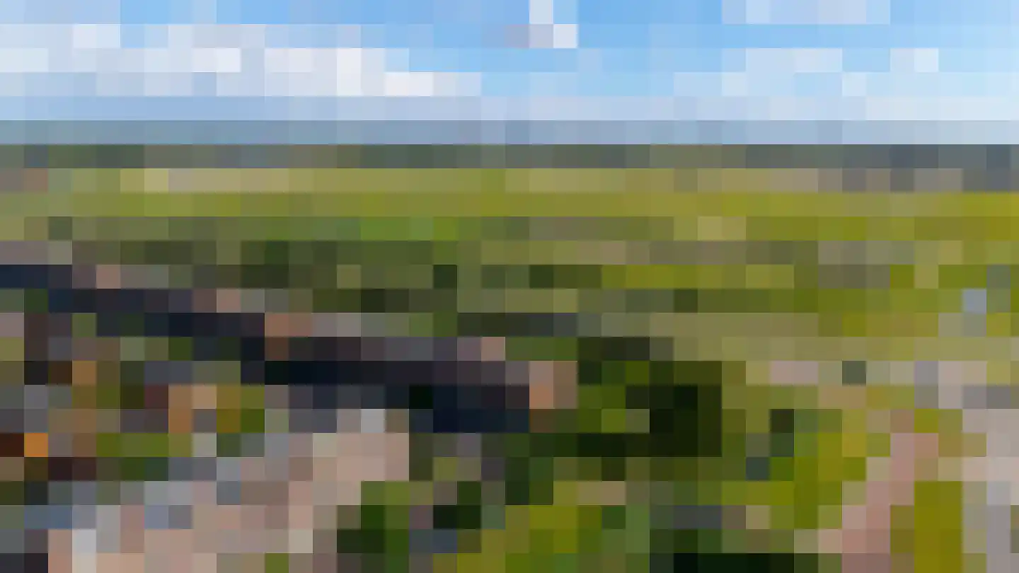 Anjertuin 1 Bergschenhoek thumbnail 28