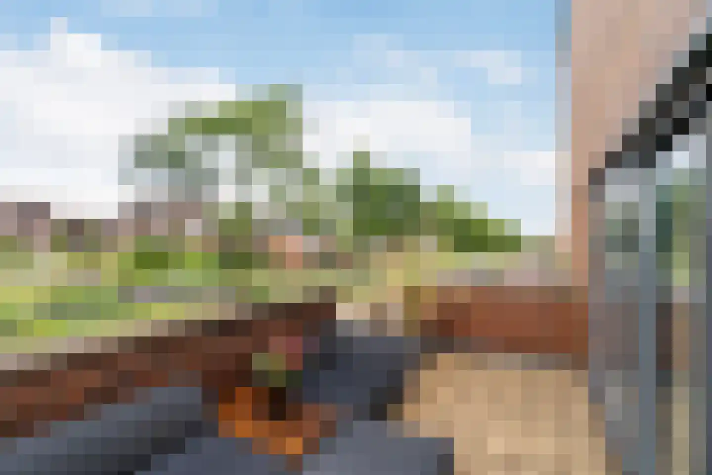 Anjertuin 1 Bergschenhoek thumbnail 31