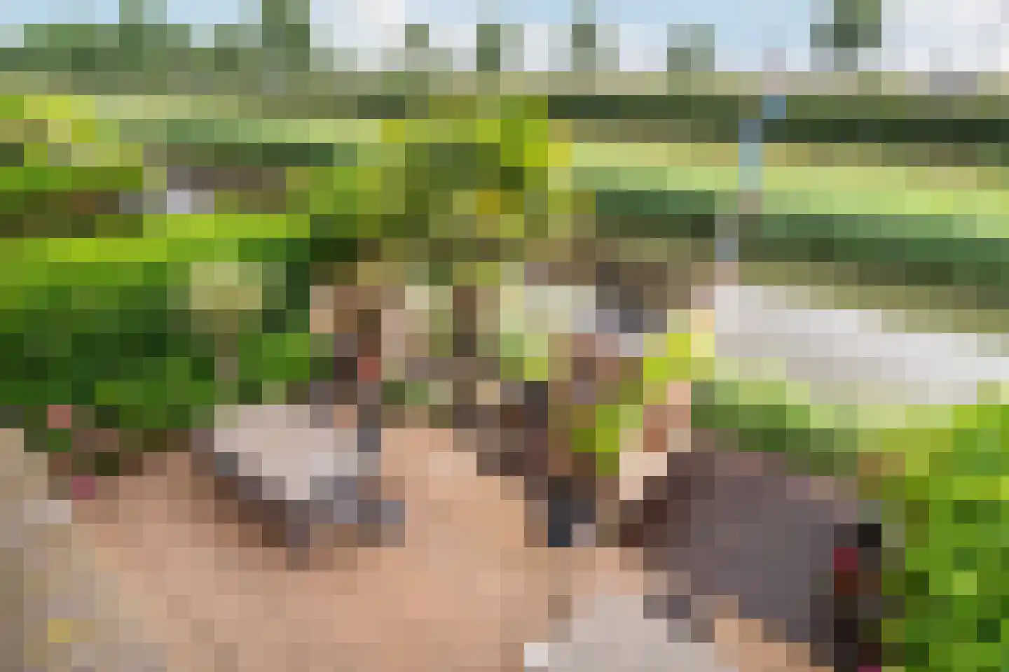 Anjertuin 1 Bergschenhoek thumbnail 32