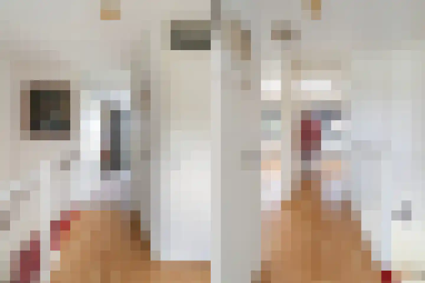 Anjertuin 1 Bergschenhoek thumbnail 33