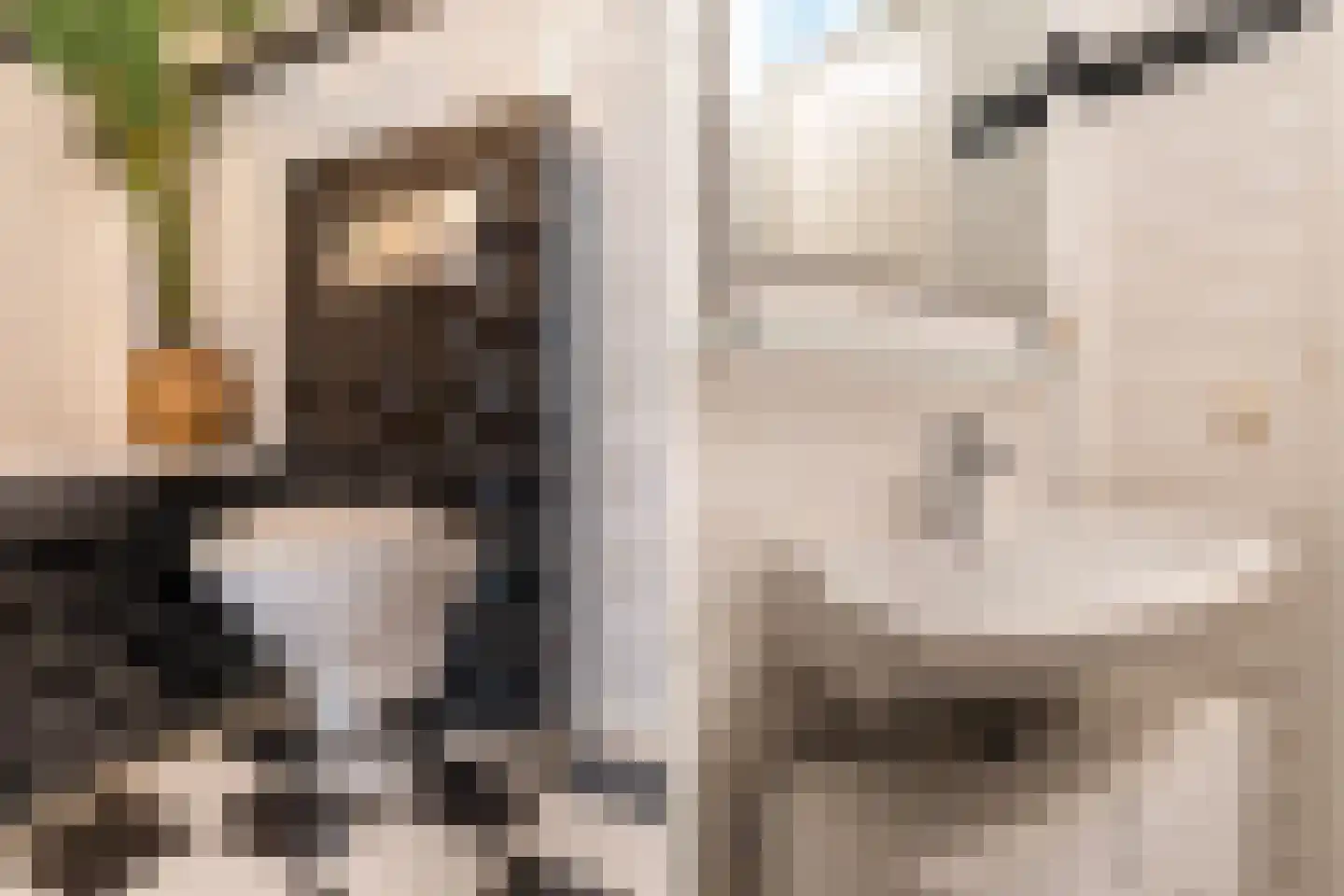 Anjertuin 1 Bergschenhoek thumbnail 39