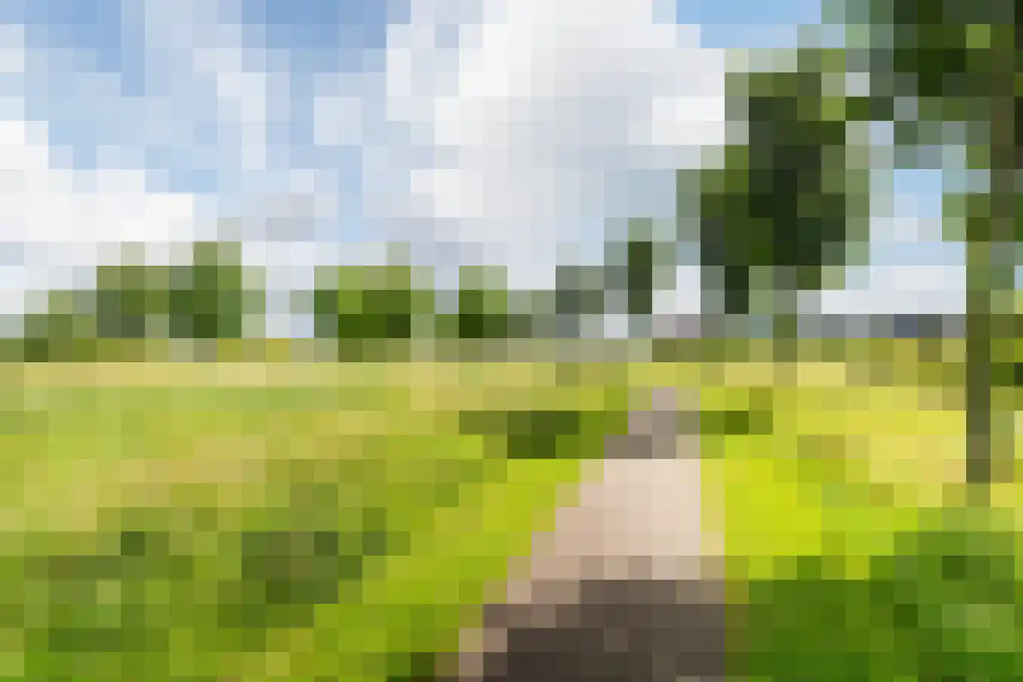 Anjertuin 1 Bergschenhoek thumbnail 4