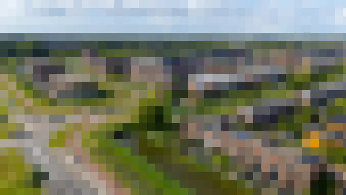 Anjertuin 1 Bergschenhoek thumbnail 41