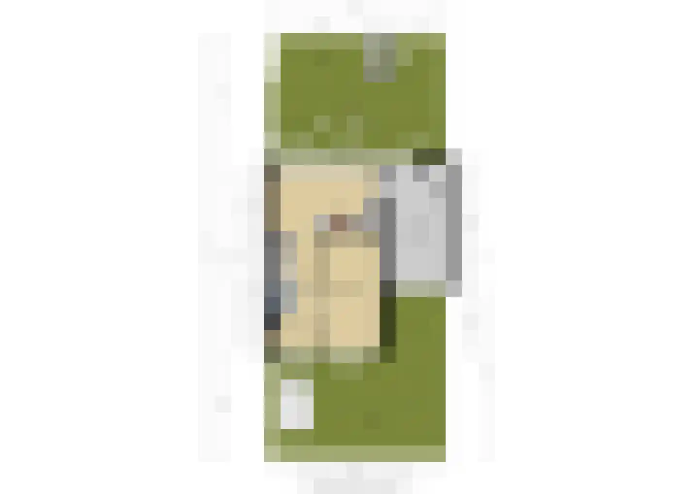 Anjertuin 1 Bergschenhoek thumbnail 44
