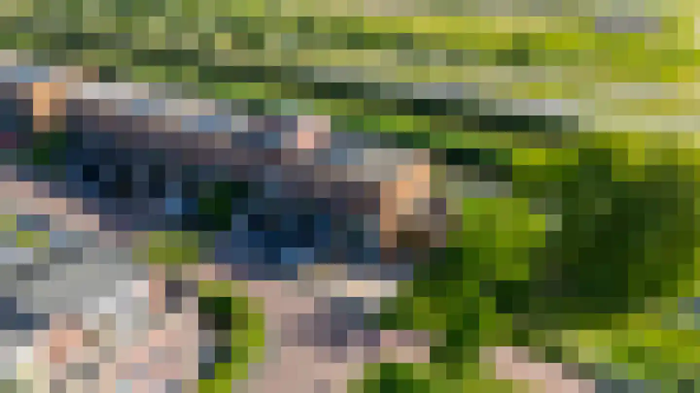 Anjertuin 1 Bergschenhoek thumbnail 5