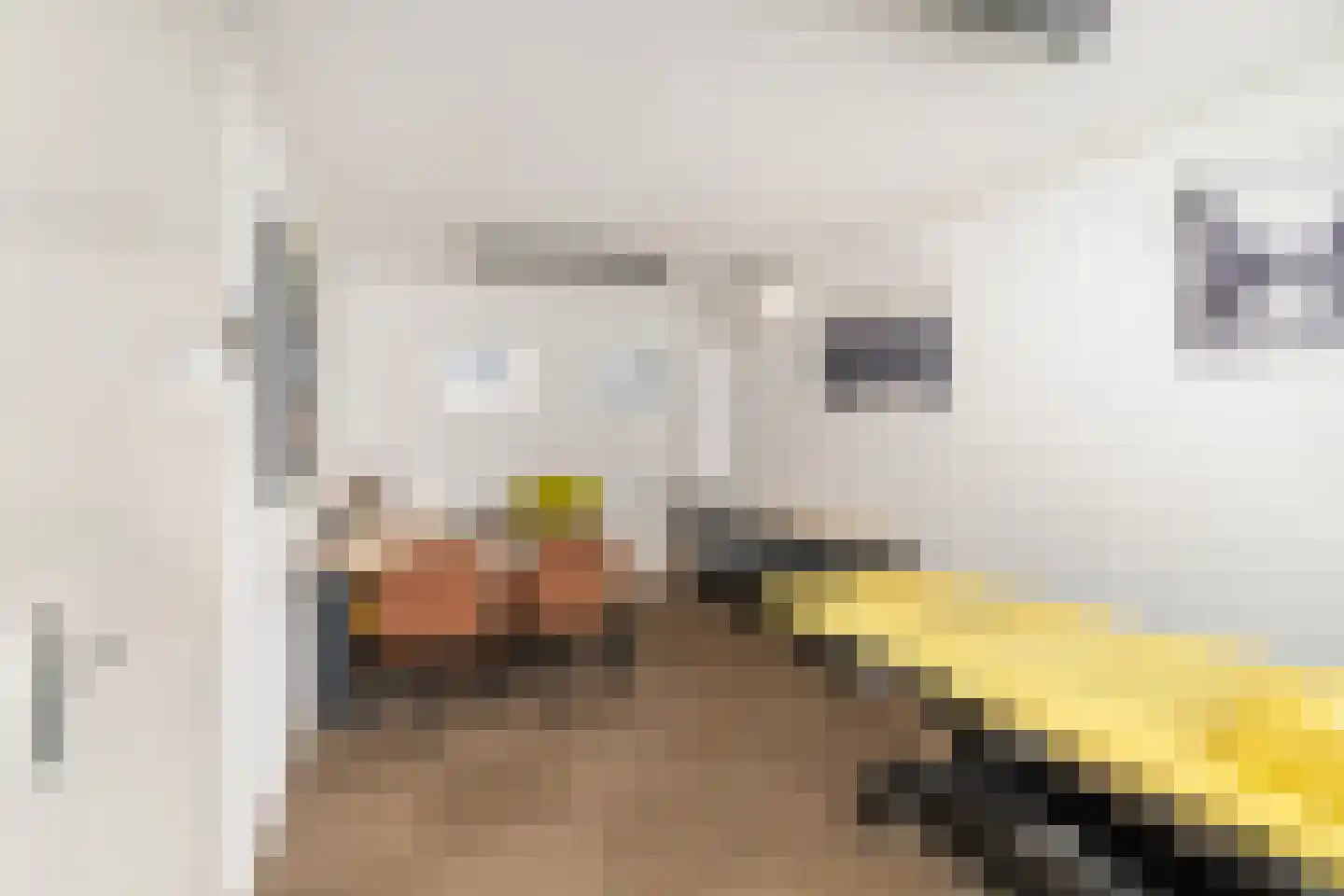 Anjertuin 1 Bergschenhoek thumbnail 9