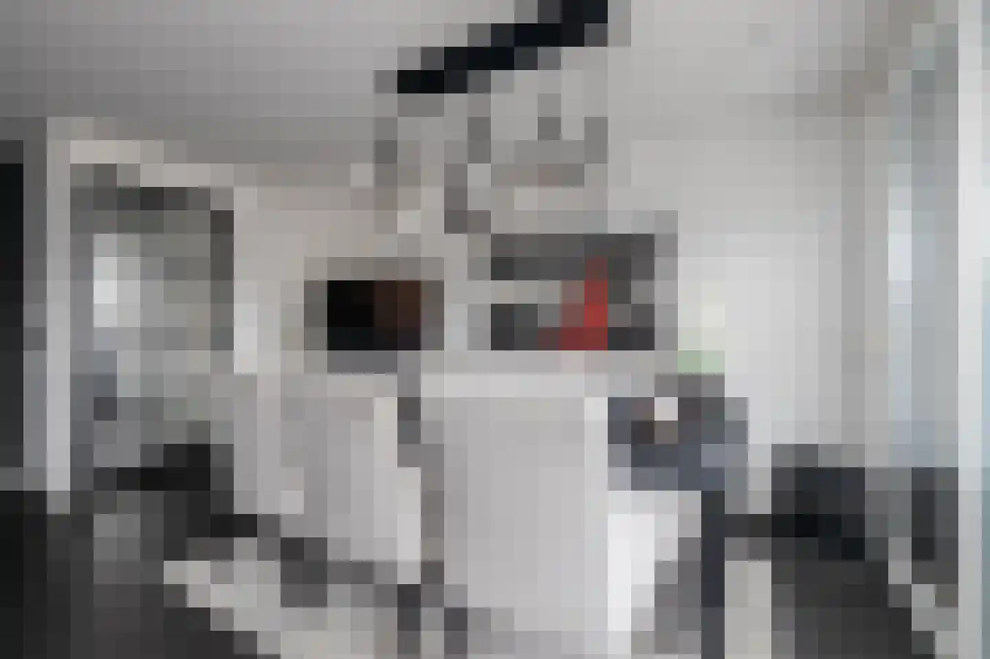 Anjertuin 11 Bergschenhoek thumbnail 13