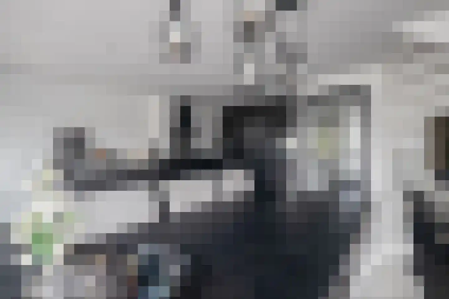 Anjertuin 11 Bergschenhoek thumbnail 14