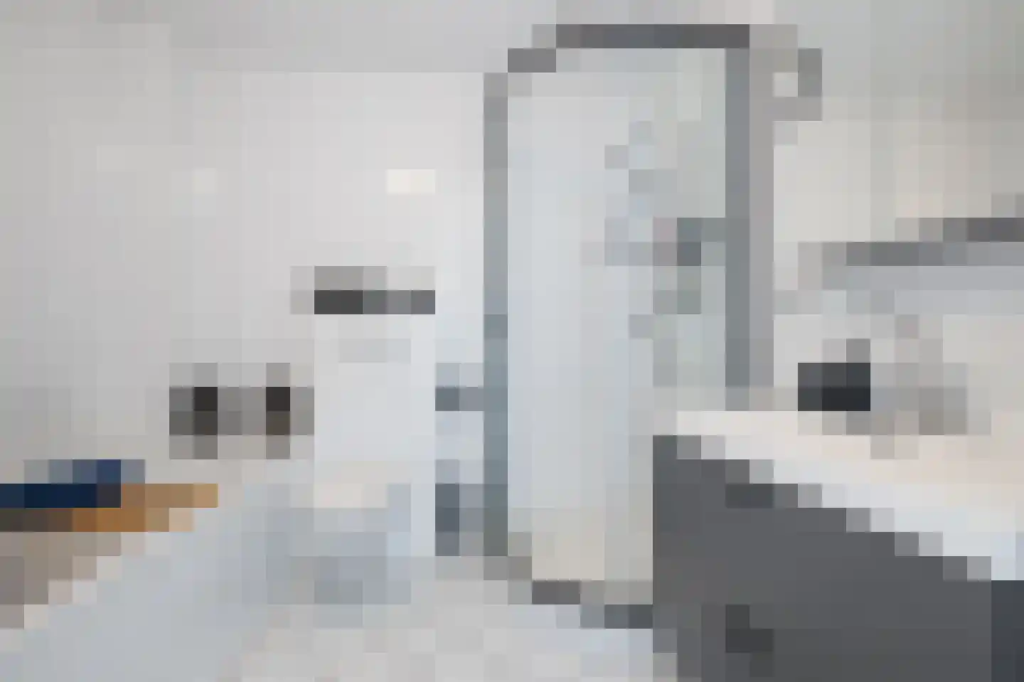 Anjertuin 11 Bergschenhoek thumbnail 20