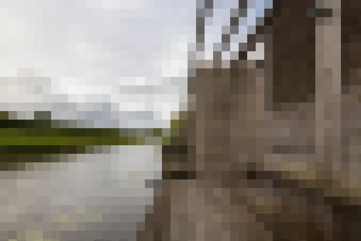 Anjertuin 11 Bergschenhoek thumbnail 26