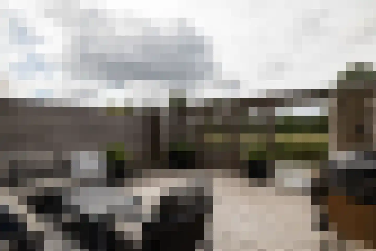 Anjertuin 11 Bergschenhoek thumbnail 27