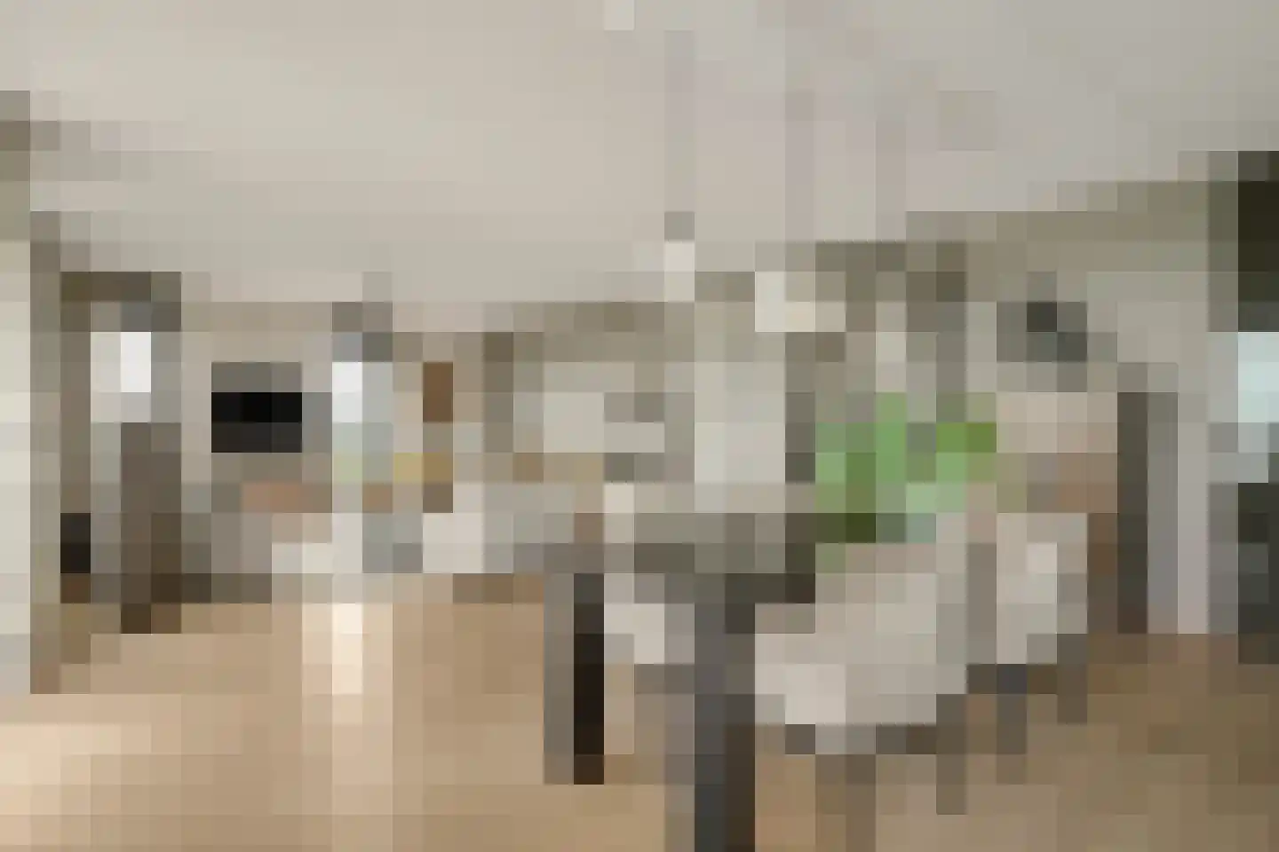 Anjertuin 45 Bergschenhoek thumbnail 14