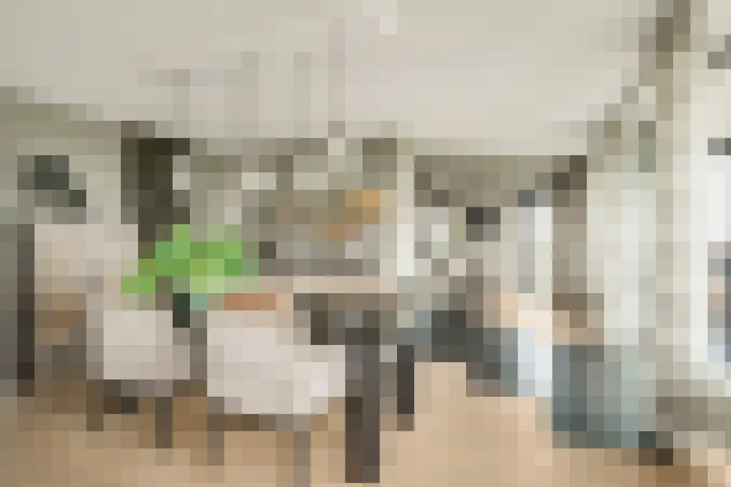 Anjertuin 45 Bergschenhoek thumbnail 15