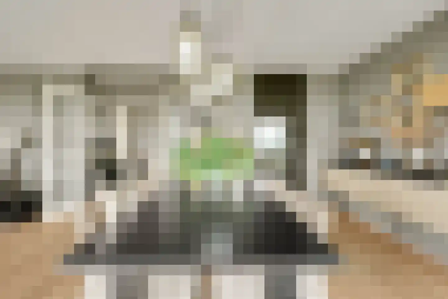 Anjertuin 45 Bergschenhoek thumbnail 16