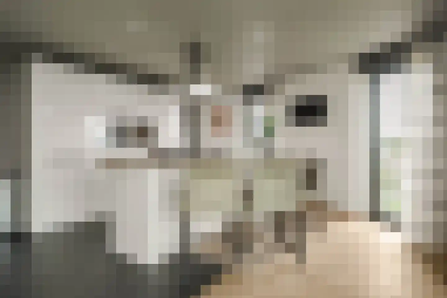 Anjertuin 45 Bergschenhoek thumbnail 17