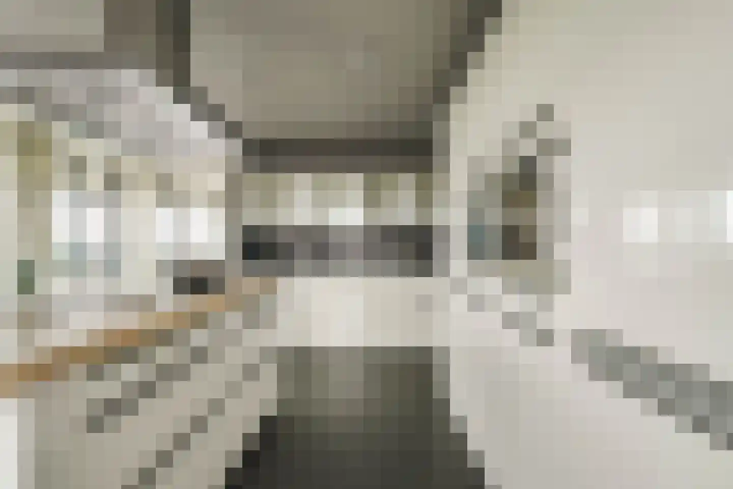 Anjertuin 45 Bergschenhoek thumbnail 18